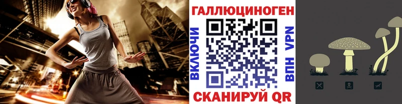 shop Telegram  Шахунья  Псилоцибиновые грибы MAGIC MUSHROOMS 